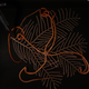An octocoral
